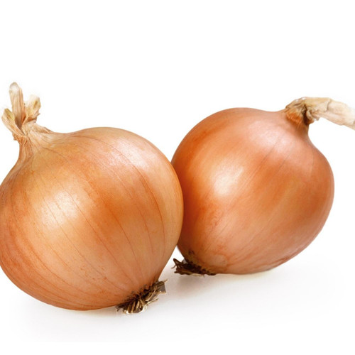 Organic Sweet Vidalia Onion