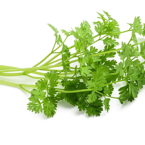 Chervil Chervil