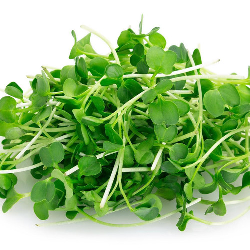 Micro Green Arugula Blossom