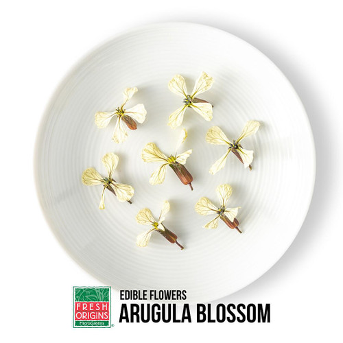 Micro Green Arugula Blossom