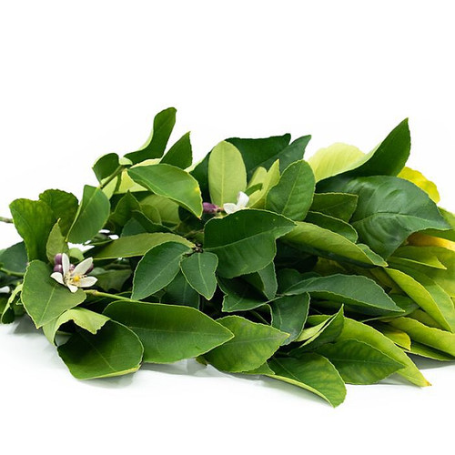 Lemon Leaf Bunch