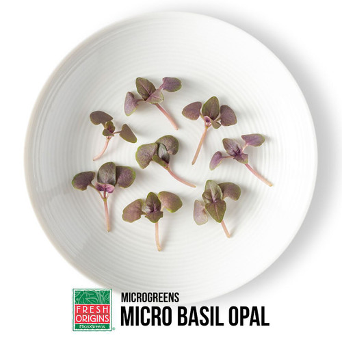 Micro Opal Basil