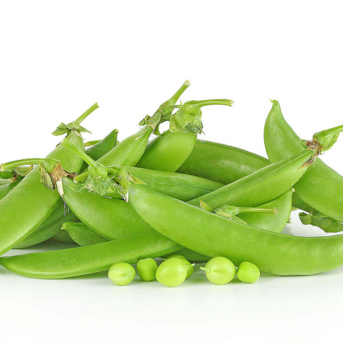 Organic Snap Pea