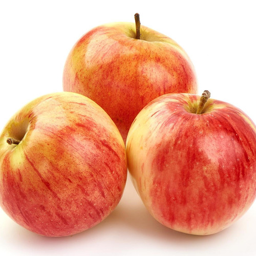 APPRED163WXF  Red Delicious Apple (163CT) - Pacific Coast Fruit Co.