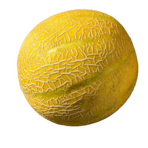 Lemon Drop Melon