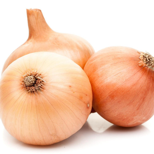Walla Walla Sweet Onion Jumbo