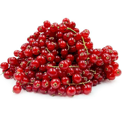 Red Currant