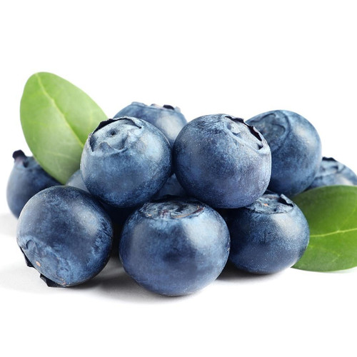 Organic NW Blueberry