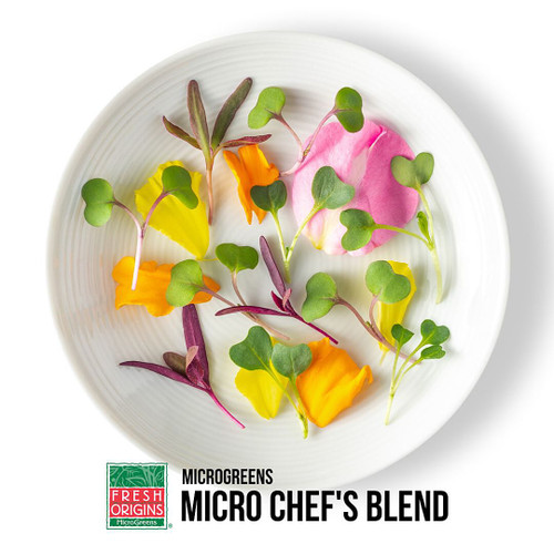 Micro Green Chef's Blend