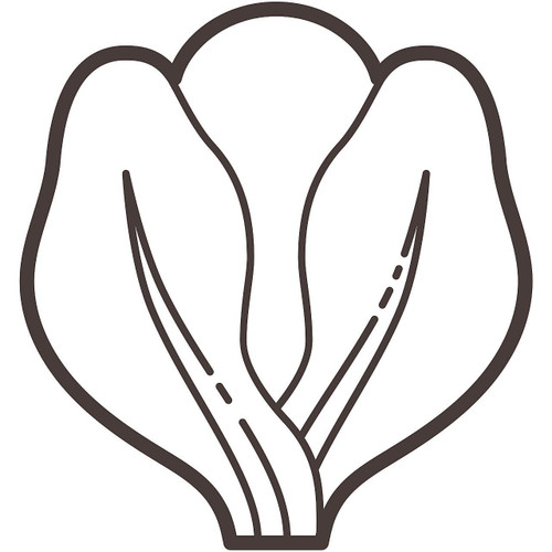 BEAN GARBANZO              13#