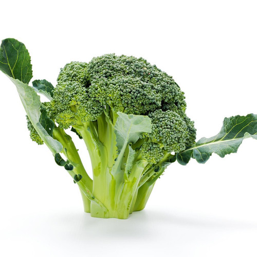 Organic Broccoli Organic Broccoli