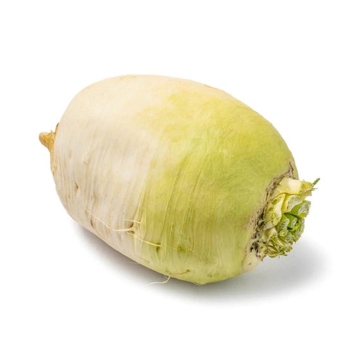 DAIKOR40# | Daikon Radish (40#) - Pacific Coast Fresh Co.
