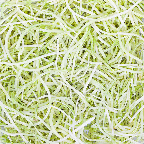 Shredded Broccoli Stems
