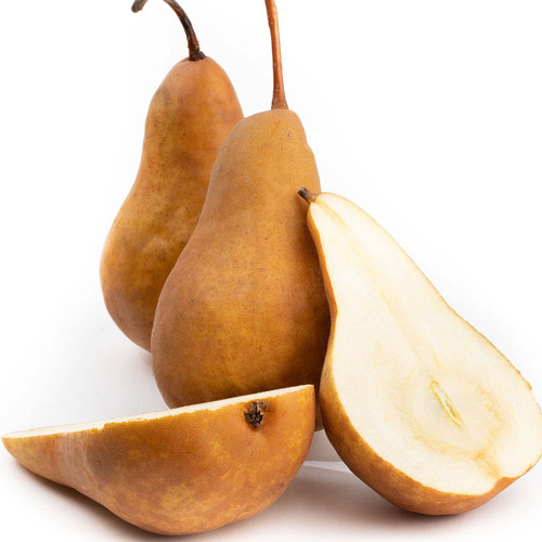 Golden Italian Bosc Pears