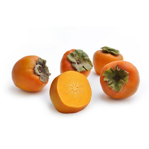 Hachiya Persimmons 1LYR