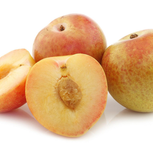 Plumcot Gold Rush
