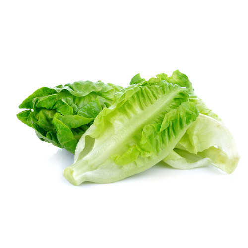 Baby Romaine Crunch Mann