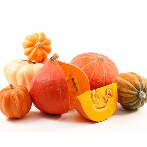 Mixed Specialty Pumpkin Mixed Specialty Pumpkin