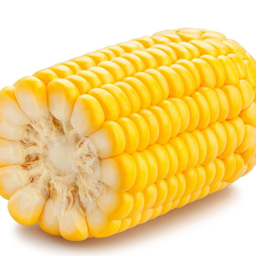 Organic Sweet Corn