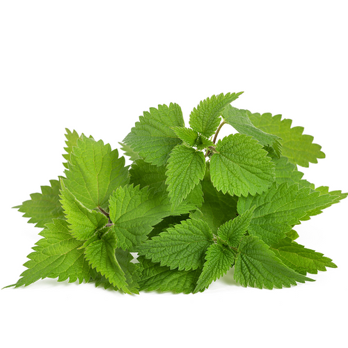 Nettles