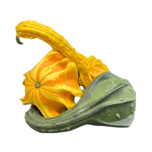 Mixed Gourds