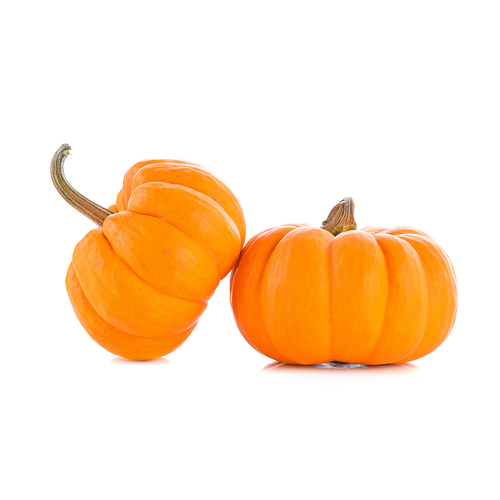 Ornamental Mini Orange Pumpkin