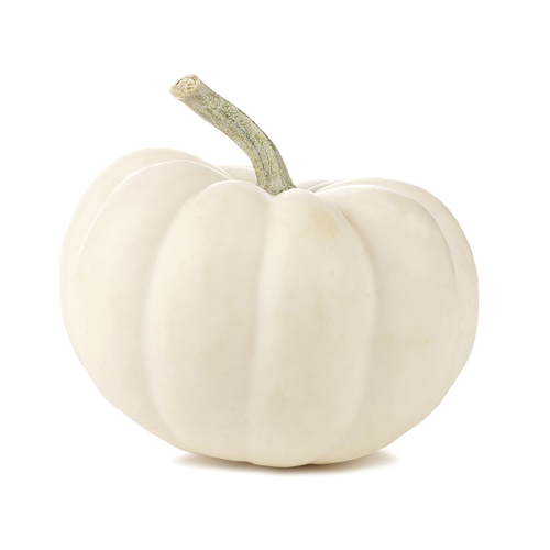 Ornamental Mini White Pumpkin