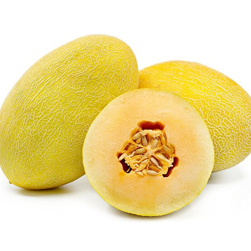 Golden Peacock Hami Melon
