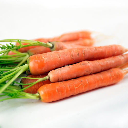 Organic Nantes Carrot Bunch