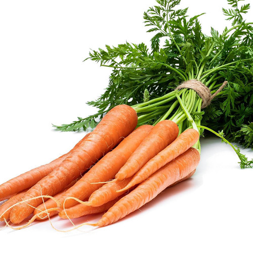 Organic Carrot Bunch