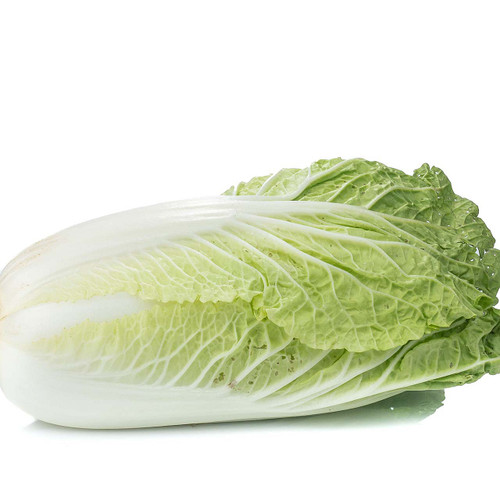 Napa Cabbage Napa Cabbage