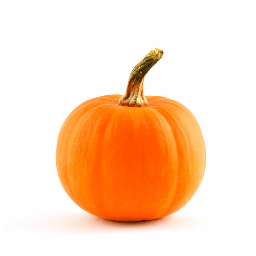 Sugar Pie Pumpkin