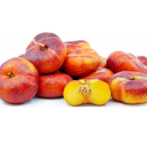 Nectapie Nectarine