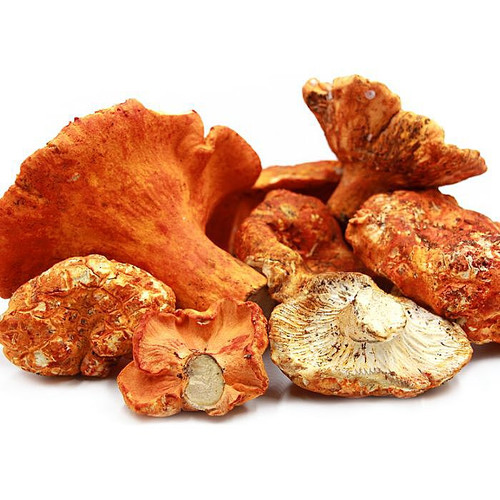 Lobster Mushroom Lobster Mushroom