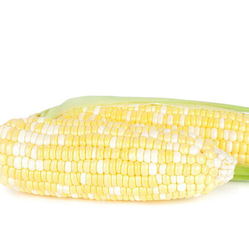 Bi Color Corn