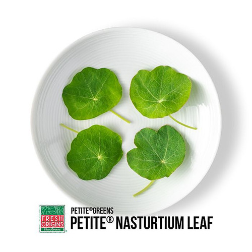 Petite Nasturtium Leaf