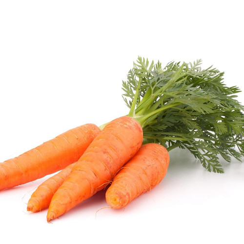 Organic Carrot Bunch with Tops