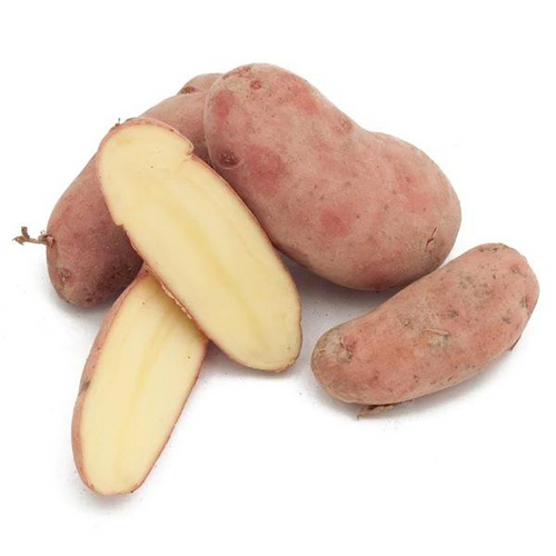 Organic French Fingerling Potato