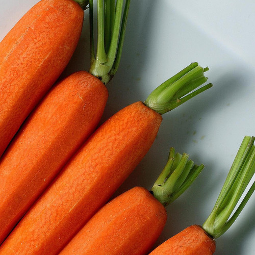 Peeled Baby Carrot with Tops
