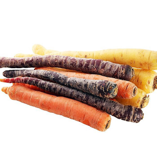 Rainbow Carrot