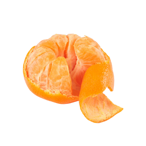 Chilean Murcott Tangerine