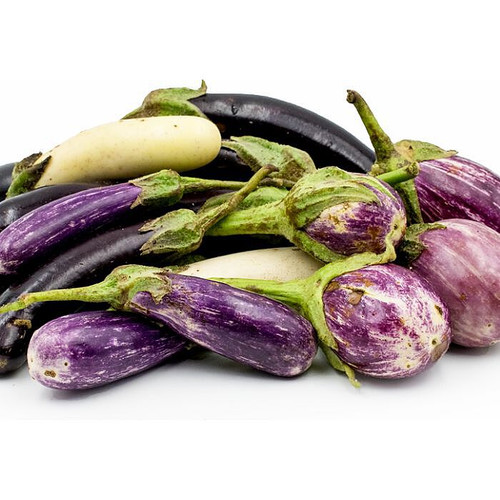 Mini Eggplant