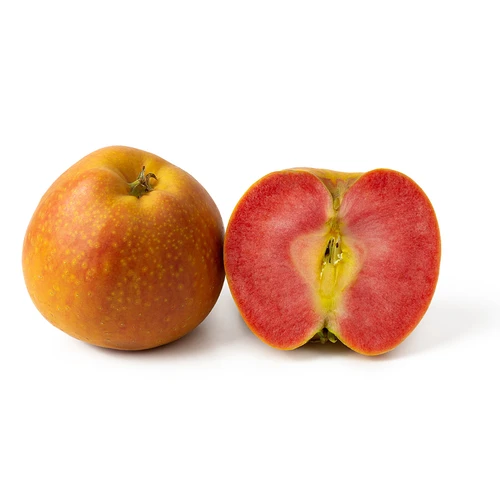 Pink Pearl Kiyokawa Apple