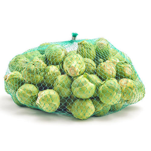 Brussels Sprout