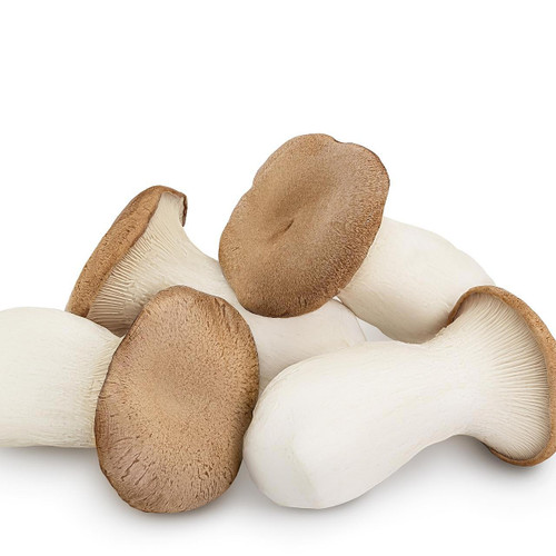 Organic King Oyster Mushroom Organic King Oyster Mushroom