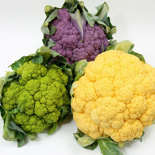 Carnival Cauliflower