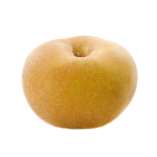 Ashmead's Kernel Apple Kiyokawa