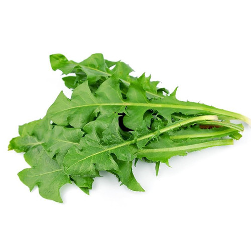 Dandelion Greens Dandelion Greens