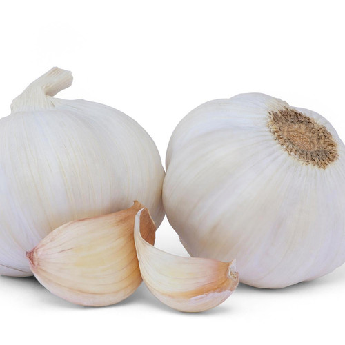 Organic Extra Jumbo Garlic