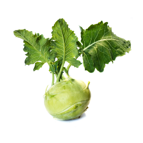 Green Kohlrabi Bunch